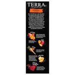 Terra Original Vegetable Chips - Sea Salt, 5 oz
