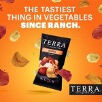 Terra Original Vegetable Chips - Sea Salt, 5 oz