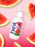 Watermelon Hint Water (Pack of 12 Bottles)