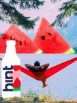 Watermelon Hint Water (Pack of 12 Bottles)