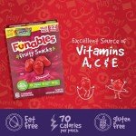 Strawberry Funables Fruit Snacks – 22 Pouches