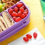 Strawberry Funables Fruit Snacks – 22 Pouches