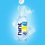 Blueberry Lemon Hint Water - Zero Sugar, 12 Pack