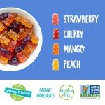 YumEarth Organic Gummy Bears - Gluten Free Snacks