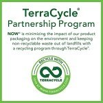 Raw Pumpkin Seeds for Energy and Focus