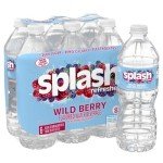 Wild Berry Splash Refresher - Pack of 6 Bottles