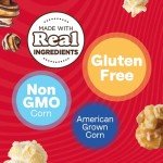 Gourmet Popcorn Cone Variety Pack - 12 Count