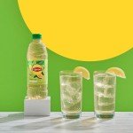 Lipton Green Tea Citrus, 12-Pack Bottles