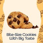 Famous Amos Chocolate Chip Cookies - 9 oz Snack