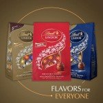 Lindt LINDOR Chocolate Truffles Assorted 15.2 oz