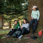 Clif Bar Minis - Chocolate Chip Energy Snack (20 Pack)