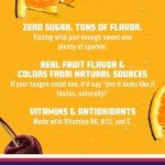 Fruit Punch Sparkling Water – Zero Sugar Pack