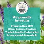 Navitas Organics Chia Seeds for Healthy Snacking