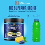 Key Nutrients Blueberry Lemonade Electrolyte Powder