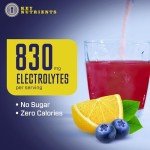 Key Nutrients Blueberry Lemonade Electrolyte Powder