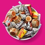 HERSHEY'S & REESE'S Miniature Chocolate Candy Mix