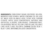 Rainbow NERDS Gummy Clusters Candy Treat Pack