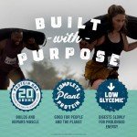 CLIF BUILDERS Chocolate Mint Protein Bars, 12 Count