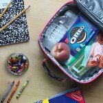 Nabisco Cookie Variety Pack – OREO & CHIPS AHOY!