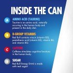 Red Bull Blue Edition Energy Drink - Blueberry Flavor