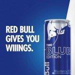 Red Bull Blue Edition Energy Drink - Blueberry Flavor