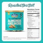 Blue Diamond Mixed Nuts Sea Salt Snack, 14oz