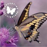 Black Jewell Gourmet Gamer Snacks - 10.5 Ounces