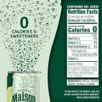 Maison Perrier Forever Lime Sparkling Water - 8 Cans