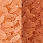 Swedish Fish Mini Glow Ups Strawberry-Watermelon Candy
