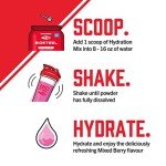 BioSteel Zero Sugar Hydration Mix - Mixed Berry