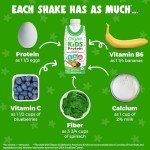 Chocolate Protein Snack Shake for Kids (Pack of 12)