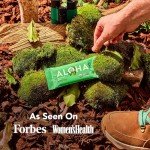 ALOHAs Plant-Based Chocolate Mint Protein Bars 12-Pack