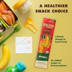 Organic Mango Fruit Jerky - 12 Healthy Strips
