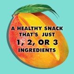 Organic Mango Fruit Jerky - 12 Healthy Strips