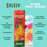 Organic Mango Fruit Jerky - 12 Healthy Strips