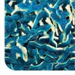 Blue Sharks Gummy Candy - 2lb Bulk Blue Raspberry