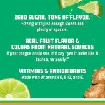 Ginger Lime Sparkling Water - Zero Sugar 12-Pack