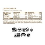 Peanut Butter Chocolate Chip Vegan Protein Bars