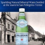 S.Pellegrino Sparkling Water, 16.9 Fl Oz, 12-Pack