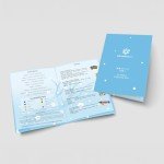 Japanese Sweet & Savory Snacks Gift Set