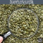 Oh! Nuts Roasted Salted Pumpkin Seeds - 2 lb