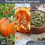 Oh! Nuts Roasted Salted Pumpkin Seeds - 2 lb