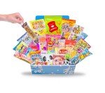 Japanese Sweet & Savory Snacks Gift Set