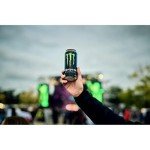 Monster Energy Drink Green - 16oz, 15-Pack