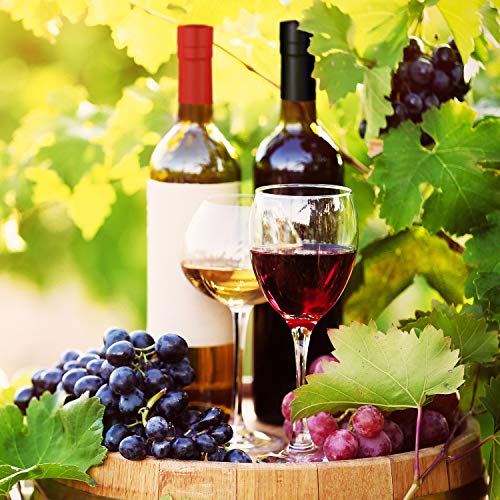 200 Pcs PVC Wine Bottle Heat Shrink Capsules