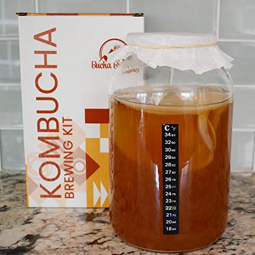 Deluxe Kombucha Starter Kit with SCOBY and Bottles