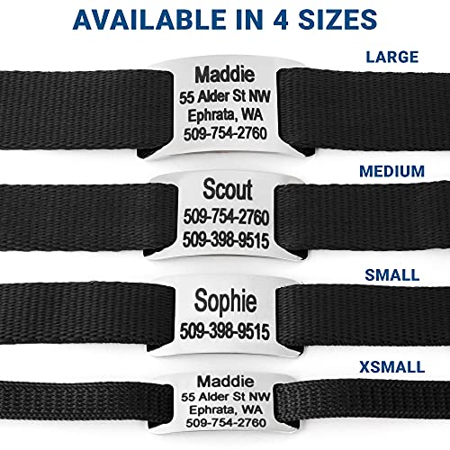 GoTags Personalized Dog Collar with Nameplate, Adjustable Dog Collar with Custom Engraved Slide On Pet ID Tag in Stainless Steel, Silent, No Noise Dog ID Tag