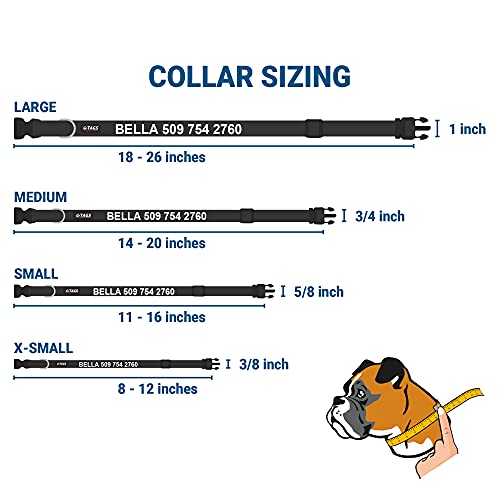 GoTags Personalized Dog Collar with Nameplate, Adjustable Dog Collar with Custom Engraved Slide On Pet ID Tag in Stainless Steel, Silent, No Noise Dog ID Tag