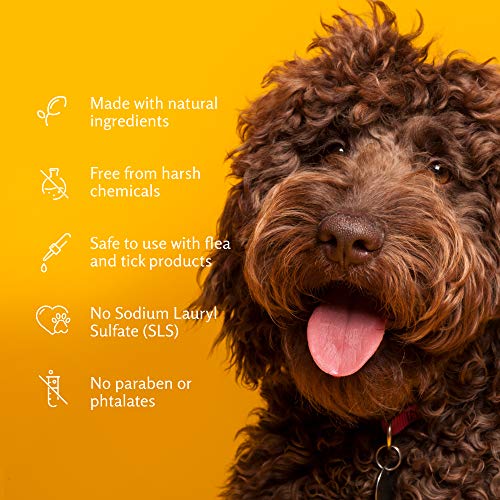 Arm & Hammer for Pets Super Deodorizing Spray for Dogs | Best Odor Eliminating Spray for All Dogs & Puppies | Fresh Kiwi Blossom Scent That Smells Great, 8 Ounces