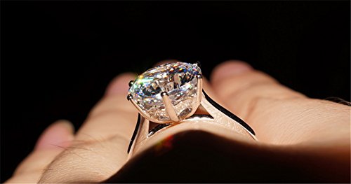 TenFit Elegant 4ct Round Cushion Cut Halo Engagement Ring